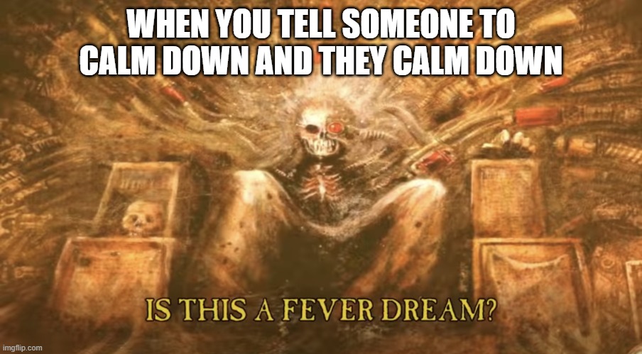 Is this a fever dream? | WHEN YOU TELL SOMEONE TO CALM DOWN AND THEY CALM DOWN | image tagged in is this a fever dream | made w/ Imgflip meme maker