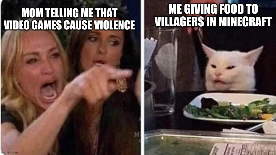 Confused Cat at Dinner | MOM TELLING ME THAT VIDEO GAMES CAUSE VIOLENCE; ME GIVING FOOD TO VILLAGERS IN MINECRAFT | image tagged in confused cat at dinner | made w/ Imgflip meme maker