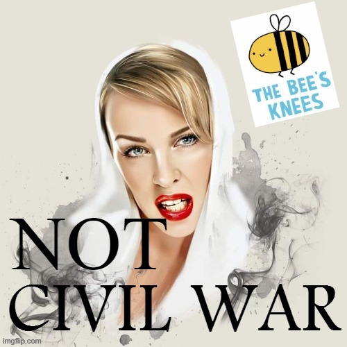 Come join the party to have a not Civil War | NOT | image tagged in kylie bee's knees civil war | made w/ Imgflip meme maker