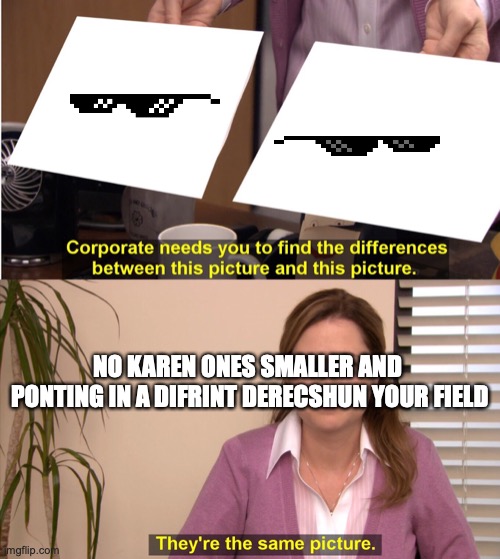 They're The Same Picture | NO KAREN ONES SMALLER AND  PONTING IN A DIFRINT DERECSHUN YOUR FIELD | image tagged in memes,they're the same picture | made w/ Imgflip meme maker