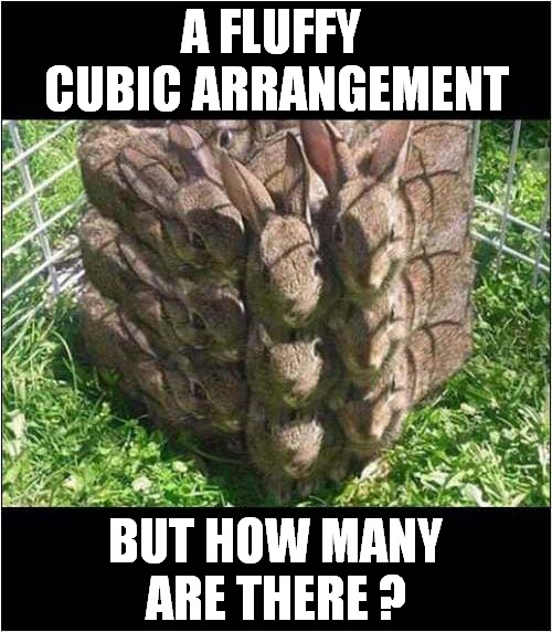 Mathematical Bunnies Question | A FLUFFY  CUBIC ARRANGEMENT; BUT HOW MANY ARE THERE ? | image tagged in fun,bunnies,mathematics | made w/ Imgflip meme maker