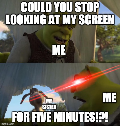 Shrek For Five Minutes | COULD YOU STOP LOOKING AT MY SCREEN; ME; ME; MY SISTER; FOR FIVE MINUTES!?! | image tagged in shrek for five minutes | made w/ Imgflip meme maker