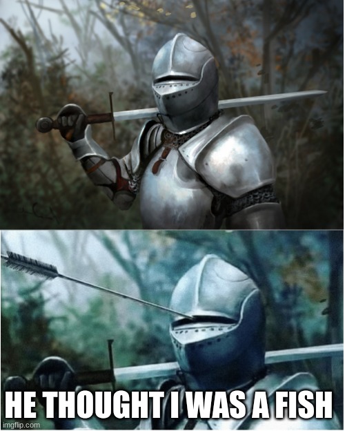 Knight with arrow in helmet | HE THOUGHT I WAS A FISH | image tagged in knight with arrow in helmet | made w/ Imgflip meme maker