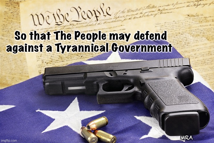 gun constitution | So that The People may defend  
against a Tyrannical Government; MRA | image tagged in gun constitution | made w/ Imgflip meme maker