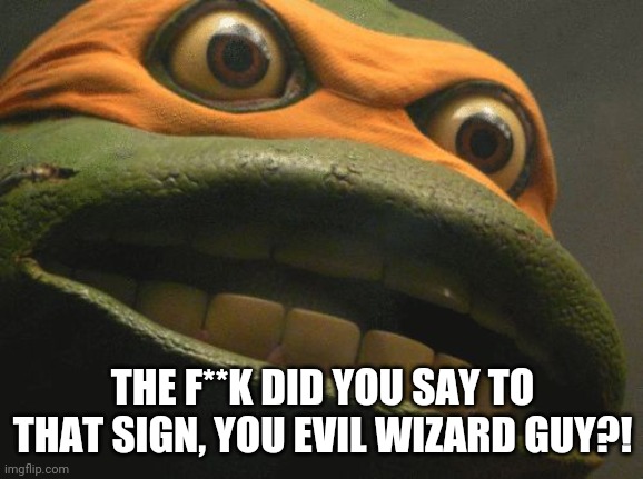 TMNT Mikey | THE F**K DID YOU SAY TO THAT SIGN, YOU EVIL WIZARD GUY?! | image tagged in tmnt mikey | made w/ Imgflip meme maker