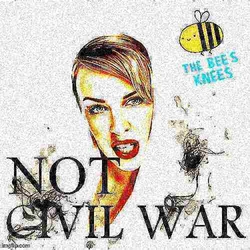 Kylie Bee's knees not civil war deep-fried 1 Blank Meme Template