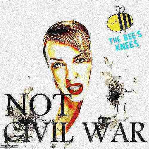 vote Beez/Kami to have a not civil war | image tagged in kylie bee's knees not civil war deep-fried 1,civil war,vote,bees,knee,presidential race | made w/ Imgflip meme maker