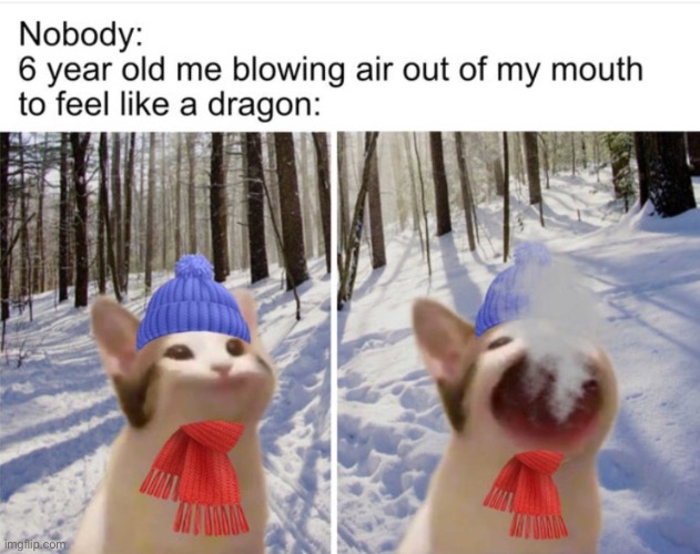 Pop cat turned dragon | image tagged in cat | made w/ Imgflip meme maker