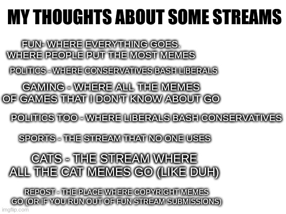 My views on some streams | MY THOUGHTS ABOUT SOME STREAMS; FUN- WHERE EVERYTHING GOES. WHERE PEOPLE PUT THE MOST MEMES; POLITICS - WHERE CONSERVATIVES BASH LIBERALS; GAMING - WHERE ALL THE MEMES OF GAMES THAT I DON'T KNOW ABOUT GO; POLITICS TOO - WHERE LIBERALS BASH CONSERVATIVES; SPORTS - THE STREAM THAT NO ONE USES; CATS - THE STREAM WHERE ALL THE CAT MEMES GO (LIKE DUH); REPOST - THE PLACE WHERE COPYRIGHT MEMES GO (OR IF YOU RUN OUT OF FUN STREAM SUBMISSIONS) | image tagged in blank white template | made w/ Imgflip meme maker