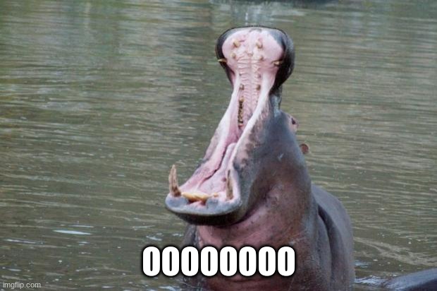 Hippo Mouth Open | OOOOOOOO | image tagged in hippo mouth open | made w/ Imgflip meme maker