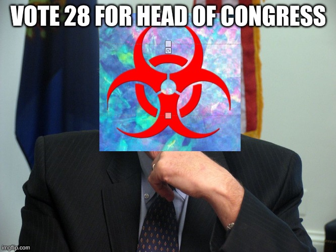 this is my logo | VOTE 28 FOR HEAD OF CONGRESS | image tagged in vote bernie sanders | made w/ Imgflip meme maker