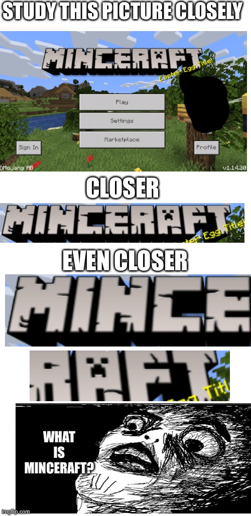 It’s an easter egg | STUDY THIS PICTURE CLOSELY; CLOSER; EVEN CLOSER; WHAT IS MINCERAFT? | image tagged in minecraft,memes | made w/ Imgflip meme maker