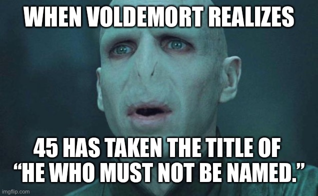Trump is the New Voldemort | WHEN VOLDEMORT REALIZES; 45 HAS TAKEN THE TITLE OF 
“HE WHO MUST NOT BE NAMED.” | image tagged in voldemort,inauguration,donald trump,trump,inauguration day,impeach trump | made w/ Imgflip meme maker