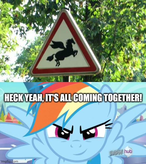 Beware of the Pegasus! | HECK YEAH, IT'S ALL COMING TOGETHER! | image tagged in looks like a job for rainbow dash mlp,rainbow dash,funny,funny signs,you had one job,memes | made w/ Imgflip meme maker