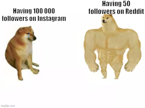 Having 50 followers on Reddit; Having 100 000 followers on Instagram | image tagged in reddit,instagram,vs | made w/ Imgflip meme maker