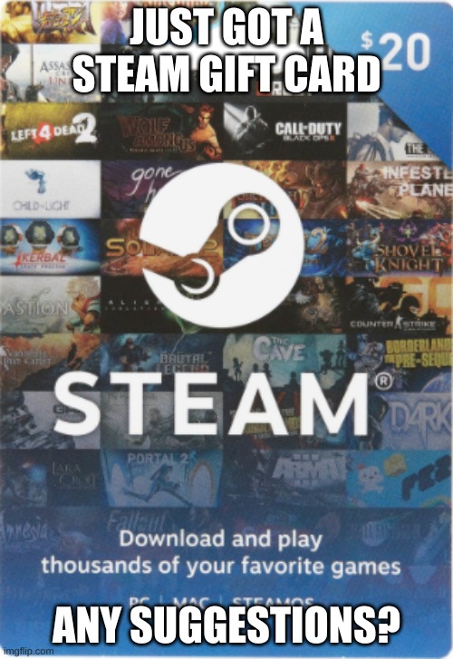 JUST GOT A STEAM GIFT CARD; ANY SUGGESTIONS? | made w/ Imgflip meme maker