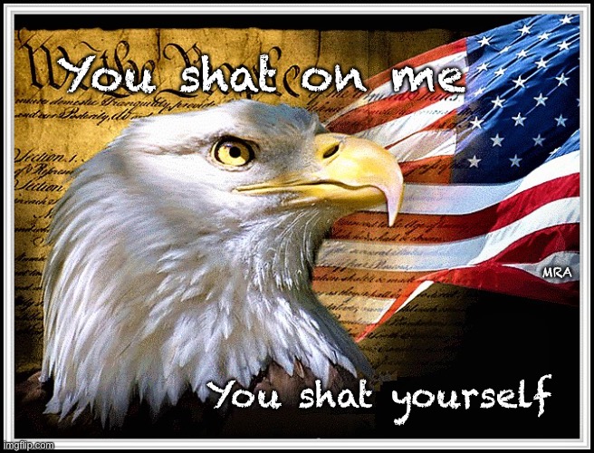 Constitution, Eagle, and Flag | You shat on me; MRA; You shat yourself | image tagged in constitution eagle and flag | made w/ Imgflip meme maker