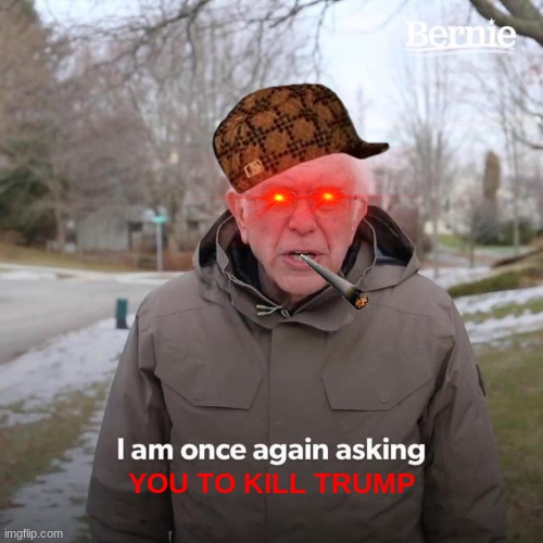 Bernie I Am Once Again Asking For Your Support | YOU TO KILL TRUMP | image tagged in memes,bernie i am once again asking for your support | made w/ Imgflip meme maker