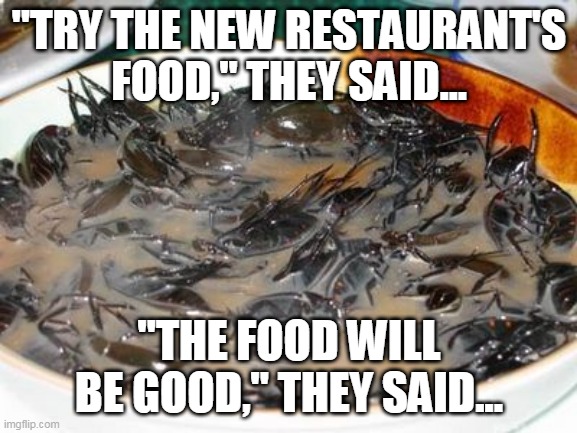 "TRY THE NEW RESTAURANT'S FOOD," THEY SAID... "THE FOOD WILL BE GOOD," THEY SAID... | image tagged in nasty food | made w/ Imgflip meme maker