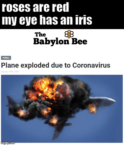 roses are red
my eye has an iris | image tagged in babylon bee,funny memes,fake news | made w/ Imgflip meme maker