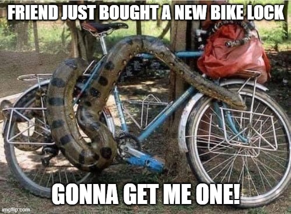 Snake Bike | FRIEND JUST BOUGHT A NEW BIKE LOCK; GONNA GET ME ONE! | image tagged in bicycle,snake | made w/ Imgflip meme maker