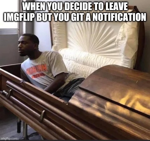 Coffin |  WHEN YOU DECIDE TO LEAVE IMGFLIP BUT YOU GIT A NOTIFICATION | image tagged in coffin | made w/ Imgflip meme maker