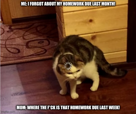 Why did I forget my homework! | ME: I FORGOT ABOUT MY HOMEWORK DUE LAST MONTH! MOM: WHERE THE F*CK IS THAT HOMEWORK DUE LAST WEEK! | image tagged in loading cat hd | made w/ Imgflip meme maker