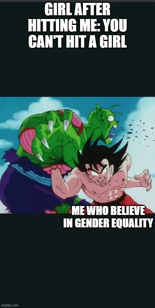 Goku punching piccolo | GIRL AFTER HITTING ME: YOU CAN'T HIT A GIRL; ME WHO BELIEVE IN GENDER EQUALITY | image tagged in goku punching piccolo,dragon ball z,goku | made w/ Imgflip meme maker