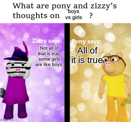 Pony and Zizzy thoughts | boys vs girls; All of it is true; Not all of that is true, some girls are like boys. | image tagged in pony and zizzy thoughts | made w/ Imgflip meme maker