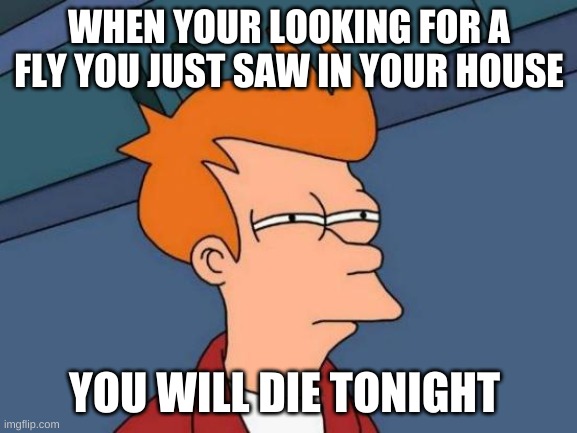 Futurama Fry | WHEN YOUR LOOKING FOR A FLY YOU JUST SAW IN YOUR HOUSE; YOU WILL DIE TONIGHT | image tagged in memes,futurama fry | made w/ Imgflip meme maker