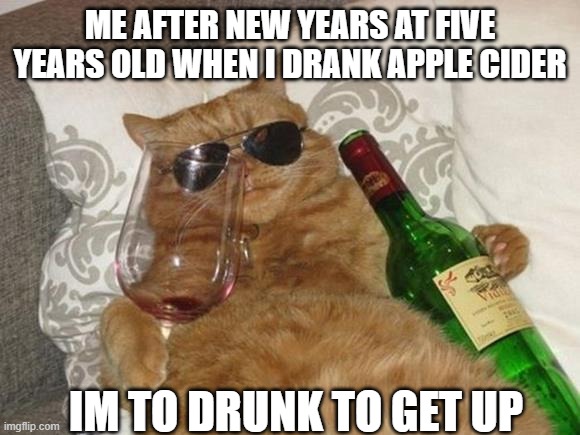 Funny Cat Birthday | ME AFTER NEW YEARS AT FIVE YEARS OLD WHEN I DRANK APPLE CIDER; IM TO DRUNK TO GET UP | image tagged in funny cat birthday | made w/ Imgflip meme maker