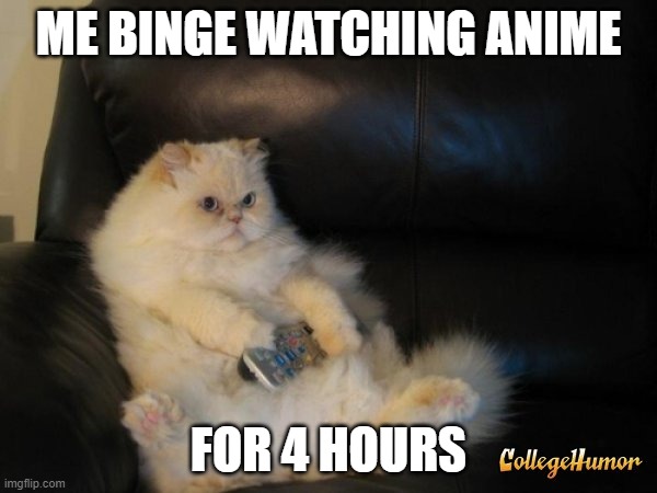 Fat Cat Watching TV Black Couch | ME BINGE WATCHING ANIME; FOR 4 HOURS | image tagged in fat cat watching tv black couch | made w/ Imgflip meme maker