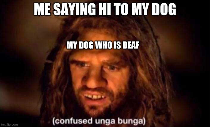 Confused Unga Bunga | ME SAYING HI TO MY DOG; MY DOG WHO IS DEAF | image tagged in confused unga bunga | made w/ Imgflip meme maker