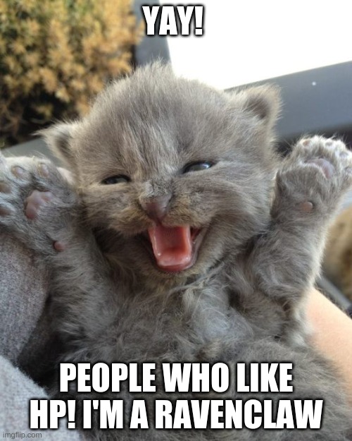 Yay Kitty | YAY! PEOPLE WHO LIKE HP! I'M A RAVENCLAW | image tagged in yay kitty | made w/ Imgflip meme maker