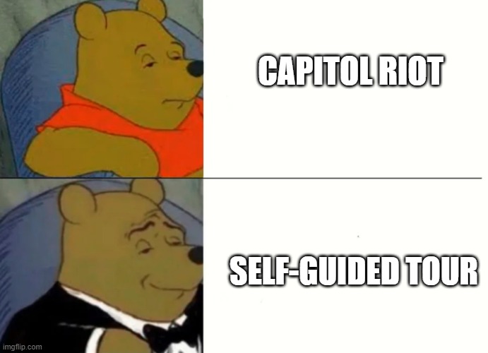 Fancy Winnie The Pooh Meme | CAPITOL RIOT; SELF-GUIDED TOUR | image tagged in fancy winnie the pooh meme | made w/ Imgflip meme maker