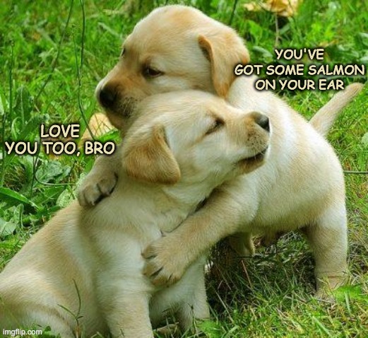 brotherly love | YOU'VE GOT SOME SALMON ON YOUR EAR; LOVE YOU TOO, BRO | image tagged in puppy i love bro,treats,cute,dogs,puppies | made w/ Imgflip meme maker