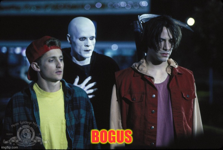 Bogus | BOGUS | image tagged in bill ted bogus journey | made w/ Imgflip meme maker