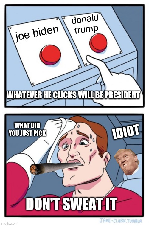 biden vs trump | donald trump; joe biden; WHATEVER HE CLICKS WILL BE PRESIDENT; WHAT DID YOU JUST PICK; IDIOT; DON'T SWEAT IT | image tagged in memes,two buttons | made w/ Imgflip meme maker