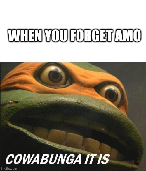 Cowabunga It Is | WHEN YOU FORGET AMO | image tagged in cowabunga it is | made w/ Imgflip meme maker