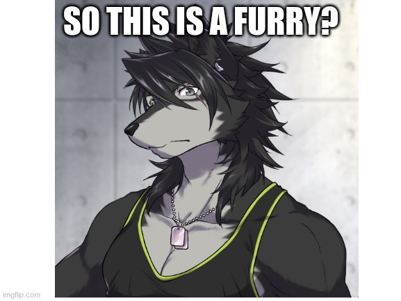 SO THIS IS A FURRY? | made w/ Imgflip meme maker