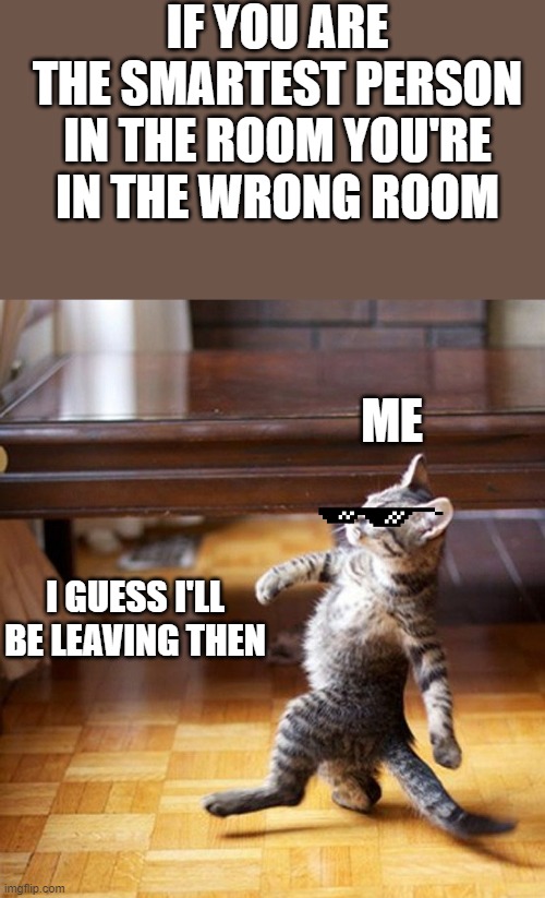 Cat Walking Like A Boss | IF YOU ARE THE SMARTEST PERSON IN THE ROOM YOU'RE IN THE WRONG ROOM; ME; I GUESS I'LL BE LEAVING THEN | image tagged in cat walking like a boss | made w/ Imgflip meme maker