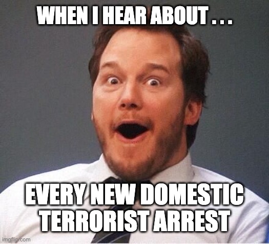 Hey, "law & order" it is what it is . . . | WHEN I HEAR ABOUT . . . EVERY NEW DOMESTIC TERRORIST ARREST | image tagged in excited,terrorist,donald trump,failure,law and order,prison | made w/ Imgflip meme maker