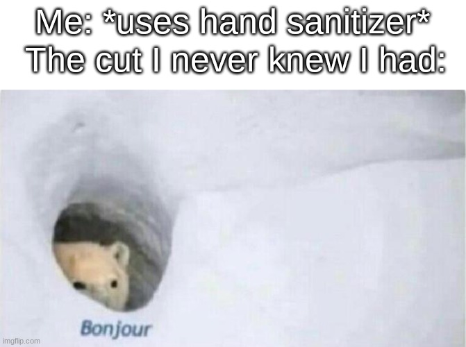 . | Me: *uses hand sanitizer*; The cut I never knew I had: | image tagged in bonjour bear | made w/ Imgflip meme maker