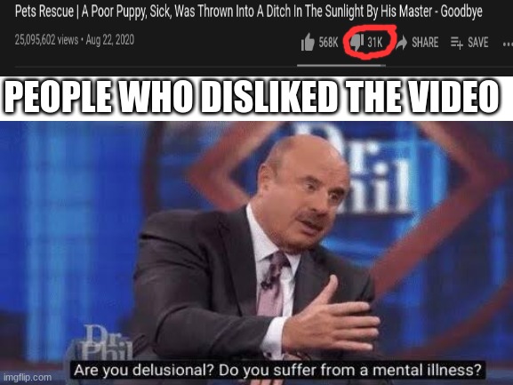 31 thousand dislikes? | PEOPLE WHO DISLIKED THE VIDEO | image tagged in dr phil,meme | made w/ Imgflip meme maker