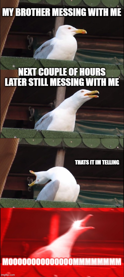 THIS HAPPENS EVERY DAY | MY BROTHER MESSING WITH ME; NEXT COUPLE OF HOURS LATER STILL MESSING WITH ME; THATS IT IM TELLING; MOOOOOOOOOOOOOOMMMMMMMM | image tagged in memes,inhaling seagull | made w/ Imgflip meme maker