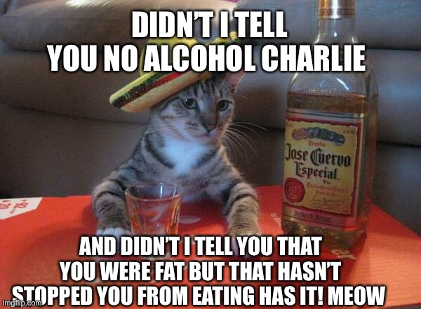 alcohol cat | DIDN’T I TELL YOU NO ALCOHOL CHARLIE; AND DIDN’T I TELL YOU THAT YOU WERE FAT BUT THAT HASN’T STOPPED YOU FROM EATING HAS IT! MEOW | image tagged in alcohol cat | made w/ Imgflip meme maker