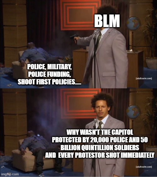 BLM capitol police | BLM; POLICE, MILITARY, POLICE FUNDING, SHOOT FIRST POLICIES..... WHY WASN'T THE CAPITOL PROTECTED BY 20,000 POLICE AND 50 BILLION QUINTILLION SOLDIERS AND  EVERY PROTESTOR SHOT IMMEDIATELY | image tagged in memes,who killed hannibal | made w/ Imgflip meme maker