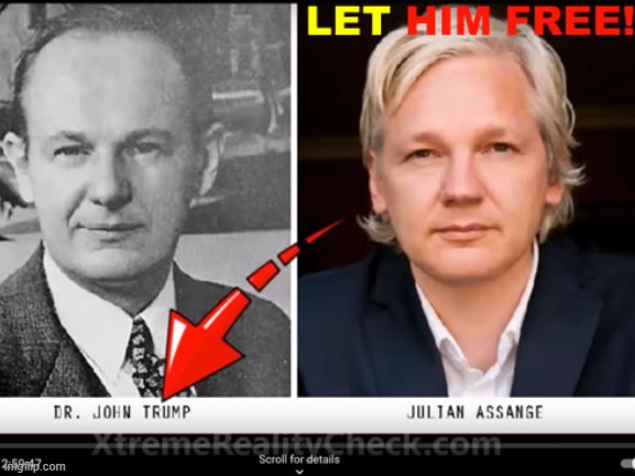 Free Julian Assange! | image tagged in free,julian,assange,trump,tr,john | made w/ Imgflip meme maker