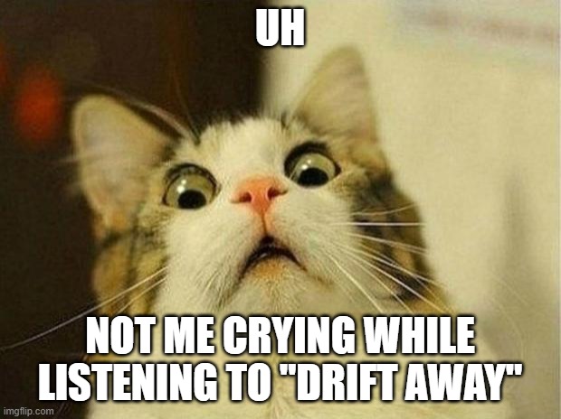 https://open.spotify.com/track/4454AwPZEKvSObvkwUGhcM?si=mw6k-ObPToS9xpRaKPOTyA | UH; NOT ME CRYING WHILE LISTENING TO "DRIFT AWAY" | image tagged in memes,scared cat | made w/ Imgflip meme maker