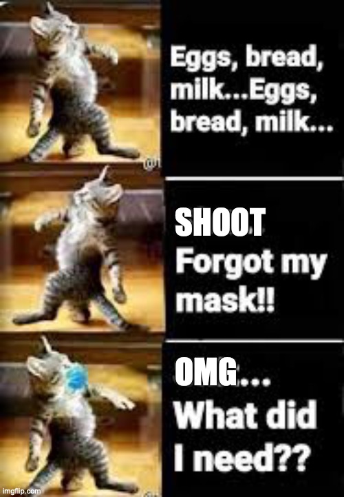 Forgot my mask | SHOOT; OMG | image tagged in cat,mask,funny | made w/ Imgflip meme maker